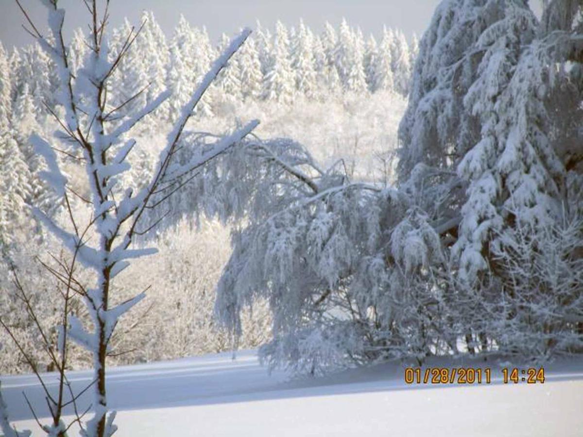 Ferienhaus Ferien Am Waldrand Altenberg  Dış mekan fotoğraf