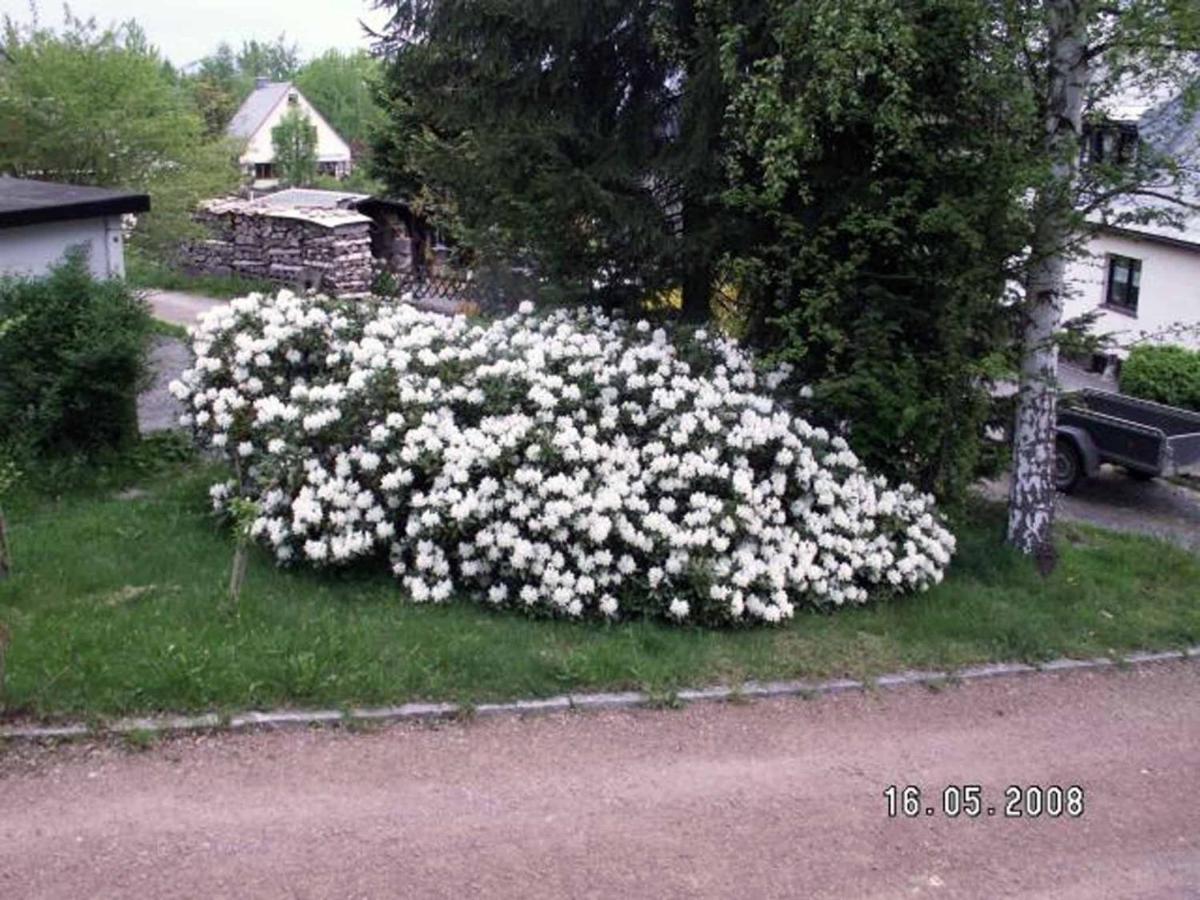 Ferienhaus Ferien Am Waldrand Altenberg  Dış mekan fotoğraf